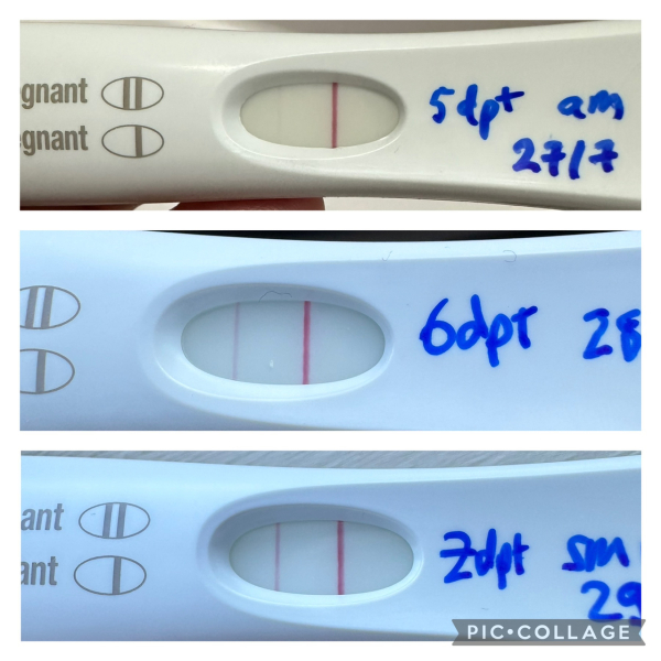 FET July 2024