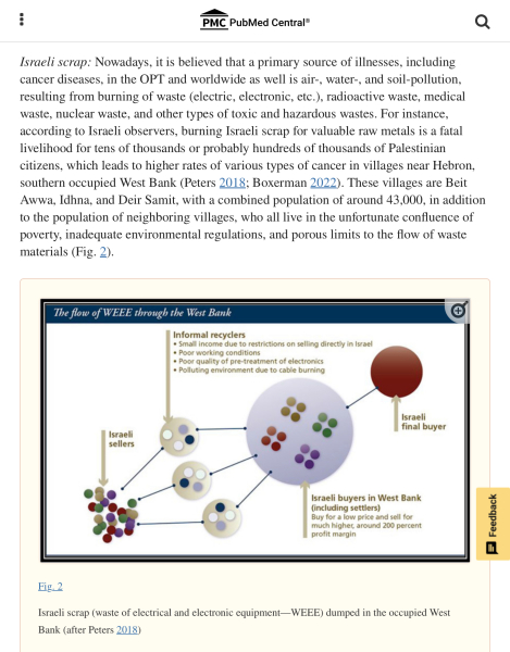 Newborn babies now have little chance of survival in Gaza - hospital director warns