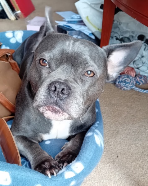 The support thread for anyone trying to lead an alcohol free life.