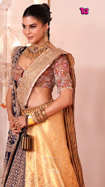 To find the Ambani wedding distasteful