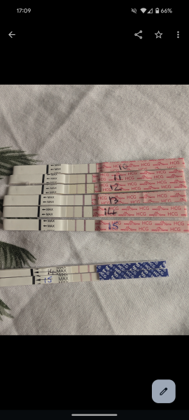 Easy at home reliability? Evap/faulty test?