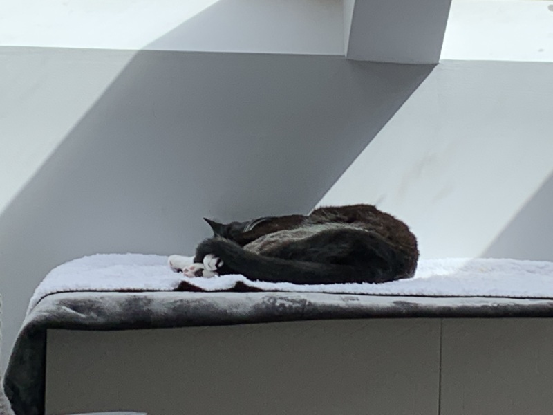 Thread 53 Sunak: Superminority!