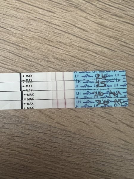 Ovulation test, positive