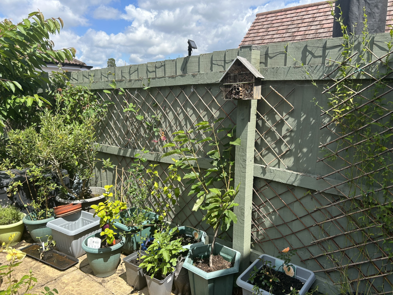 Recommend me a colour for our fence