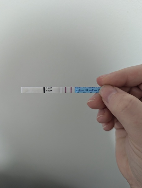Positive opk twice in a month?!