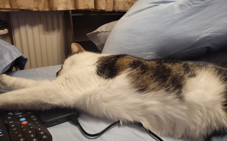 Thread 2. Starmer, return of the Labour government