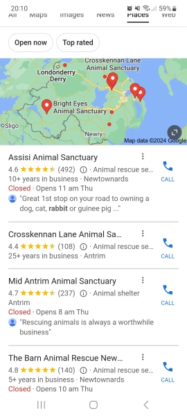 To get a load of bunnies for the kids?