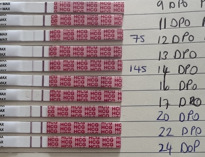 Is this a vvvfl or false positive?