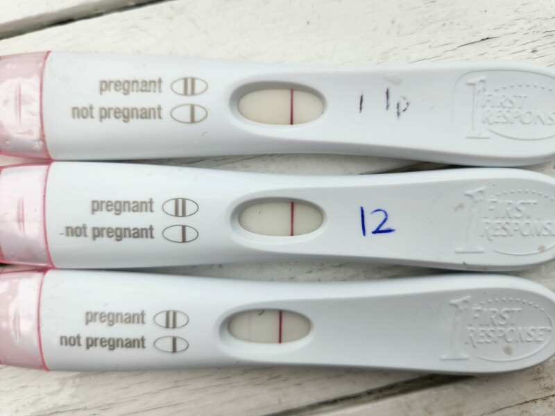 TTC July 2024 ✨♥️