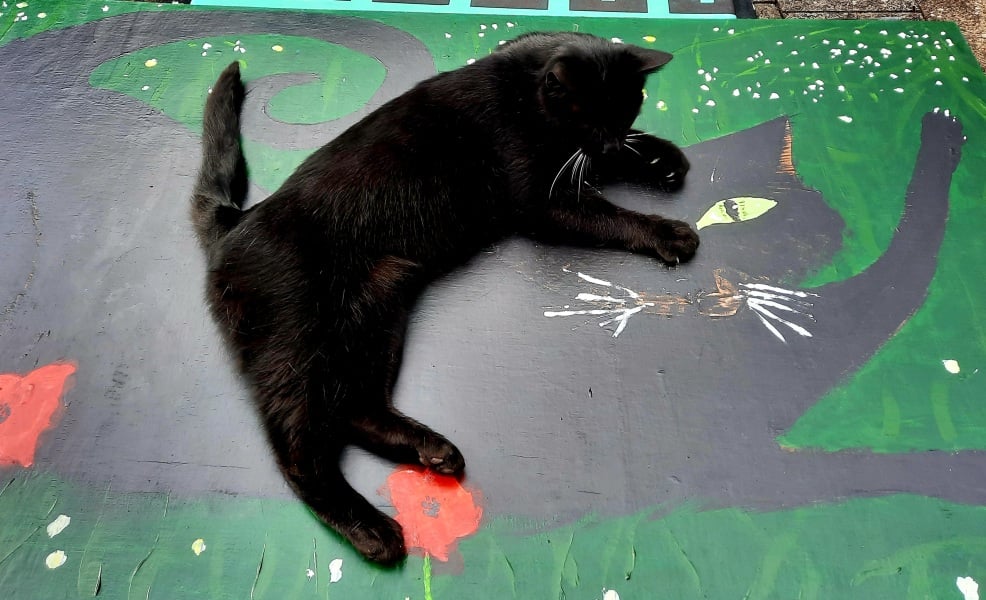 Thread 14 - TalkLair: “What The Hell Are We Supposed To Use, Man? Harsh Language?”