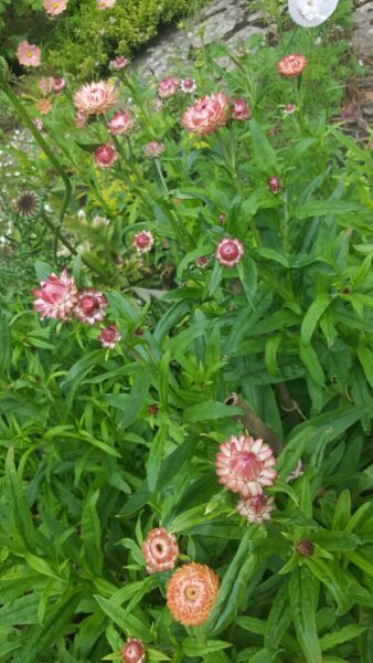 Show Us Your Photos
