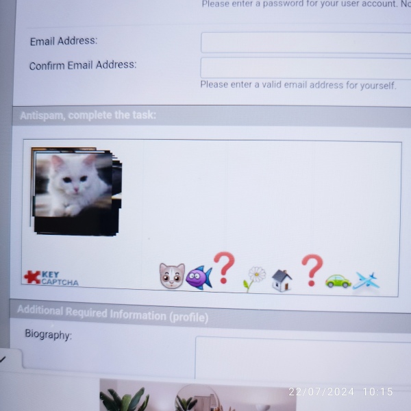 Antispam, complete the task, help