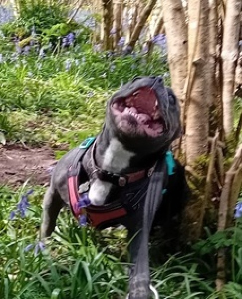 The support thread for anyone trying to lead an alcohol free life.