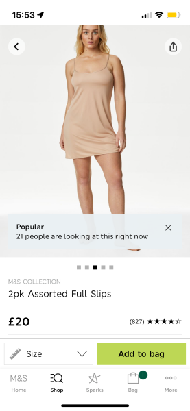 Does nobody wear slip any more?