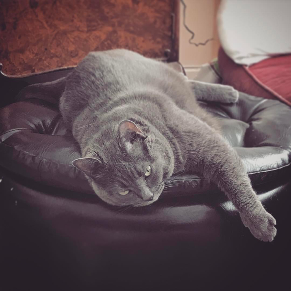 Thread 53 Sunak: Superminority!