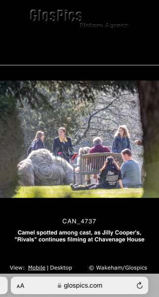 Disney Plus doing Jilly Cooper's Rivals