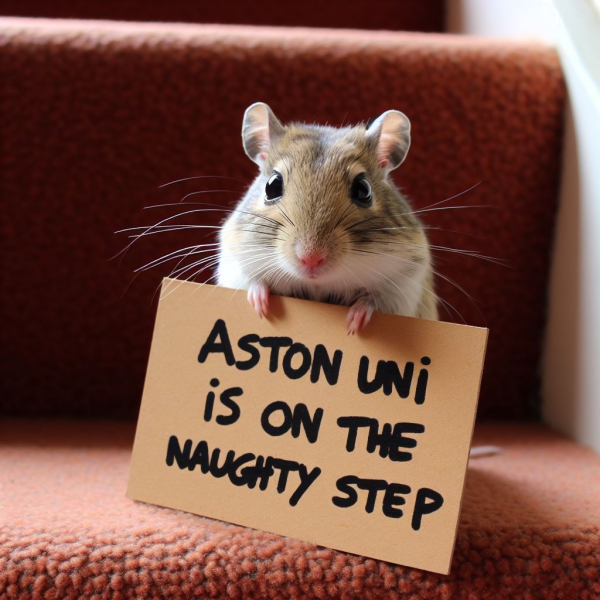 Aston, scraped vipers, gerbils and much more