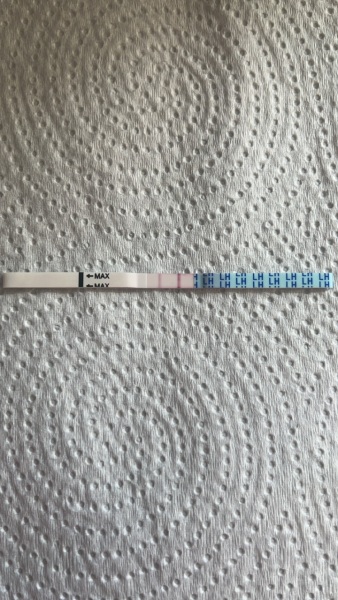 Ovulation??