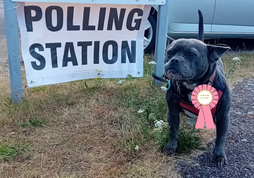 The support thread for anyone trying to lead an alcohol free life.