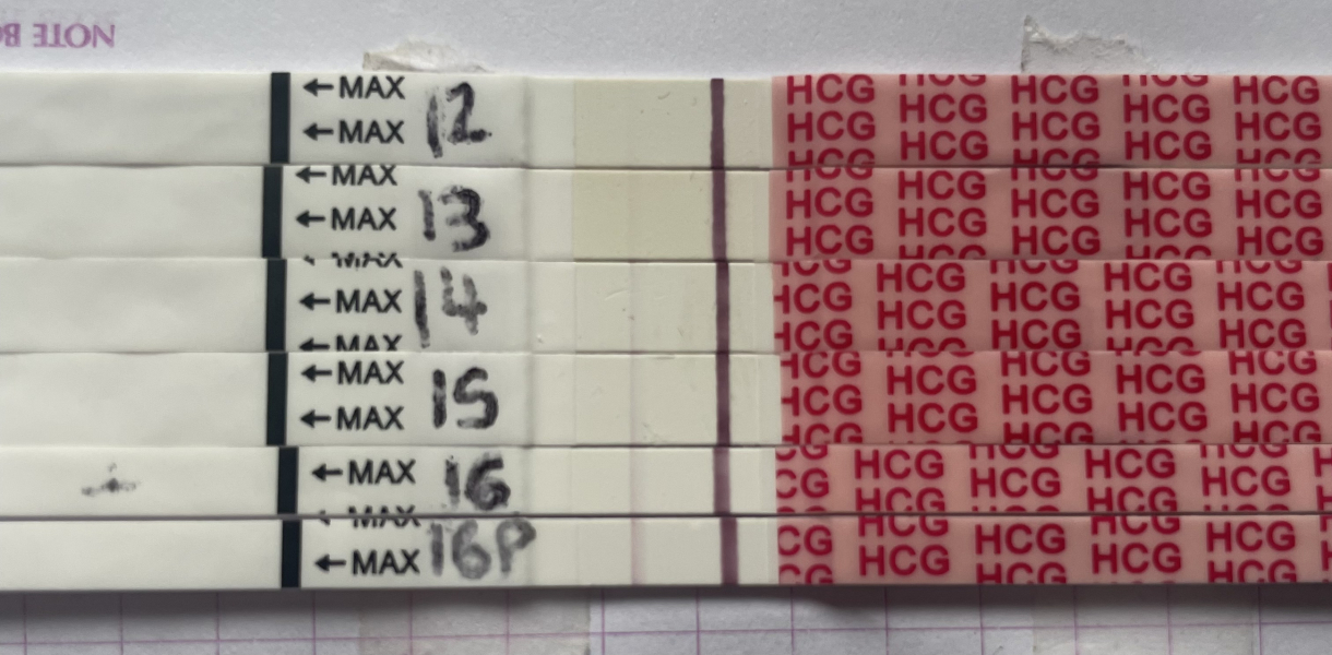 Immune/NK cells pred thread #32