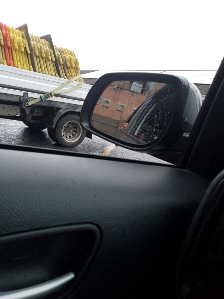 Puppy Survival Thread for New and Old Pups - Spring is around the corner!