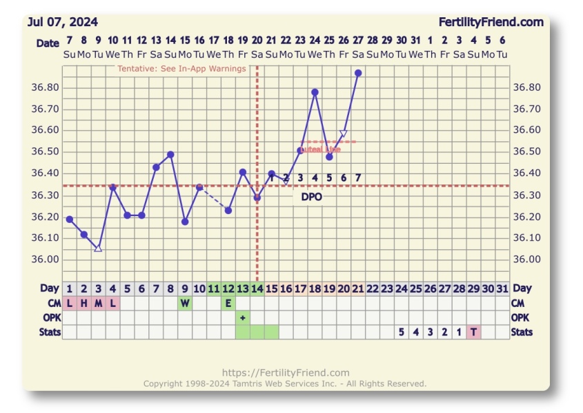 TTC July 2024 ✨♥️