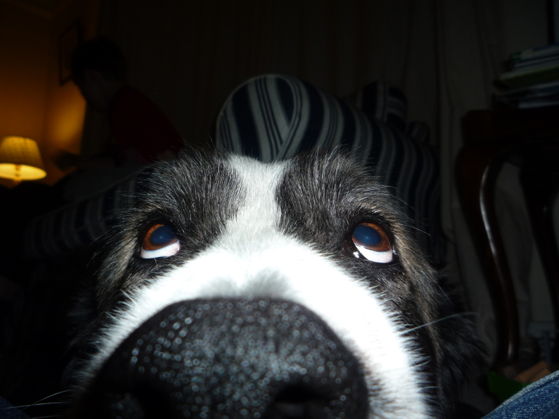 Thread 2. Starmer, return of the Labour government