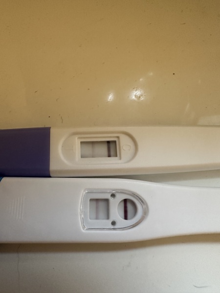 Do you see what I see?