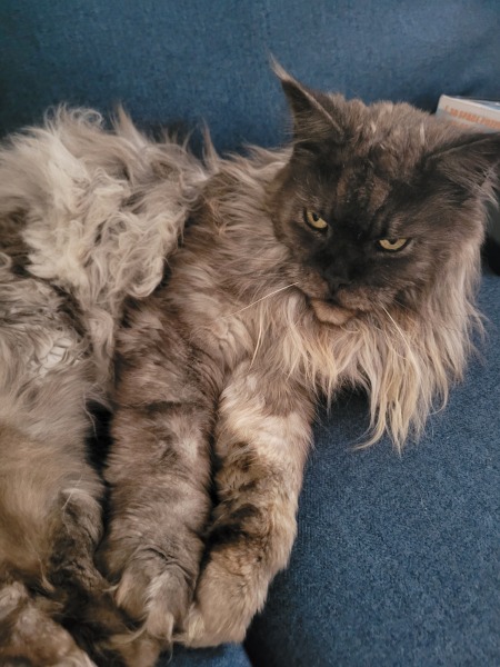 Thread 3 Starmer:  Digging has started, bigger shovel required