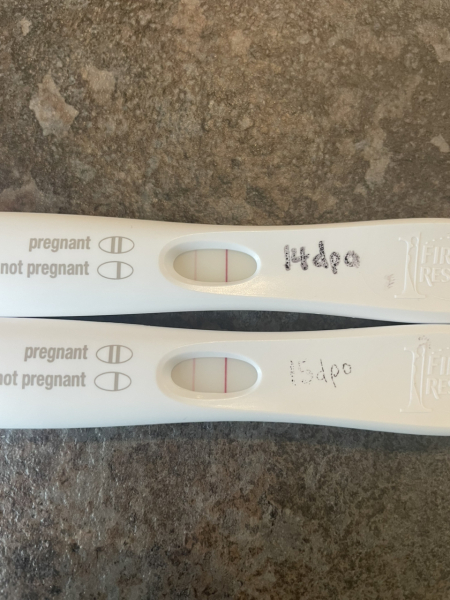 Immune/NK cells pred thread #32