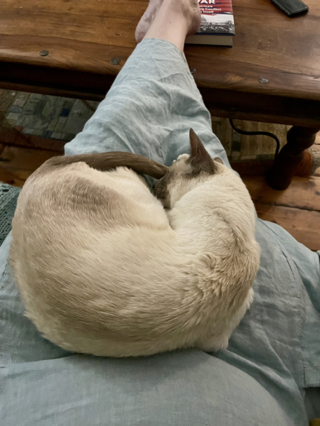 Thread 1 Starmer: A New Hope