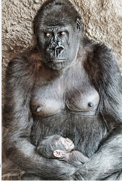 To not want to see t*ts on the beach??!