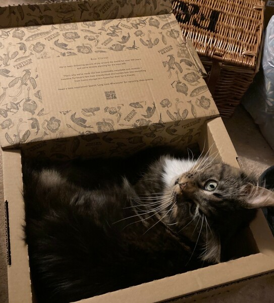 Come and tell me your dull and unexciting news 30: Calmly through the day