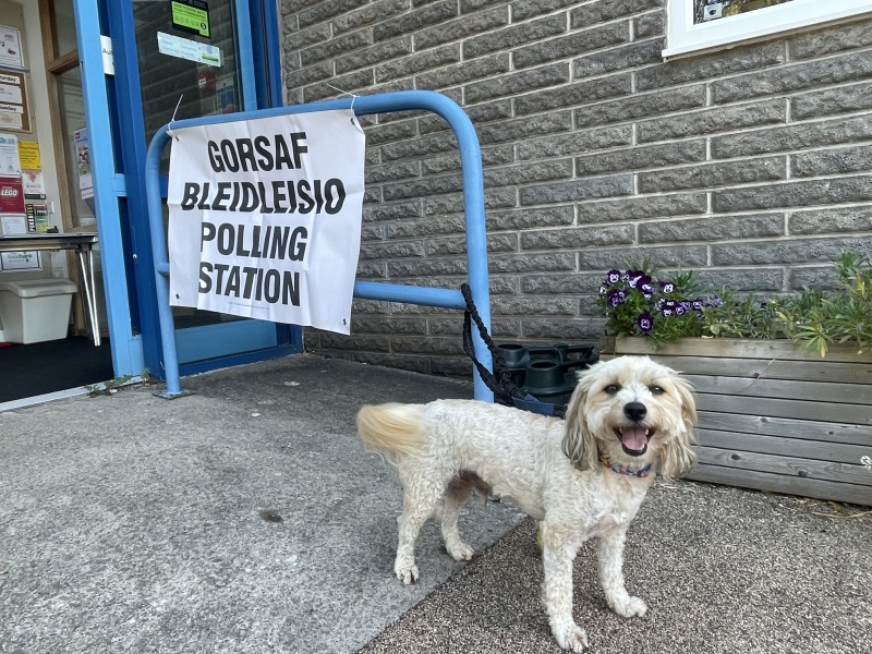 A thread to check in and say I'VE VOTED