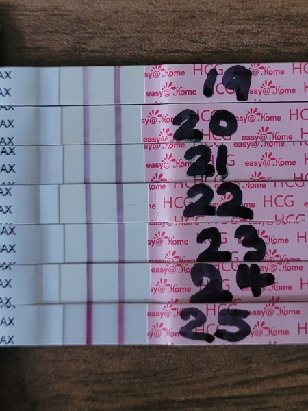 3 previous losses and currently 5 weeks pregnant