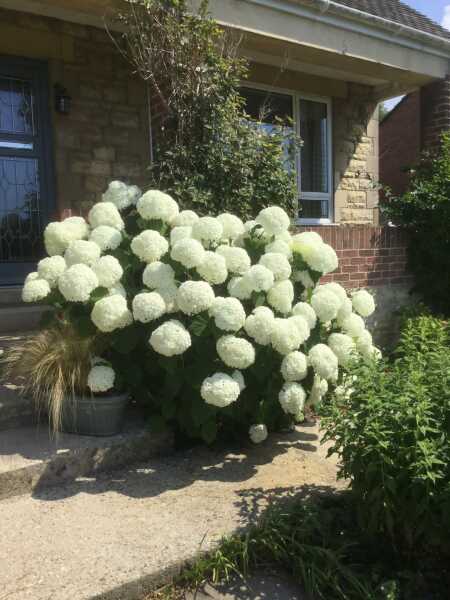 Thread 1 Starmer: A New Hope