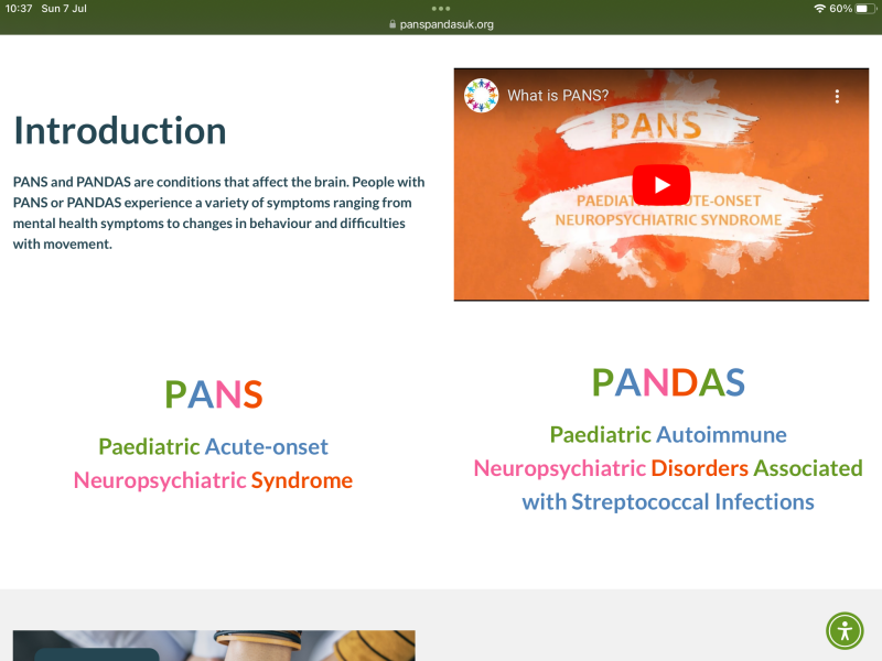 Pans/Pandas…need help desperately please
