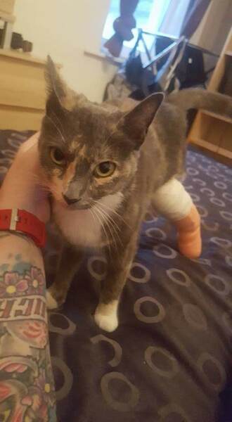 Any experiences with leg amputation?