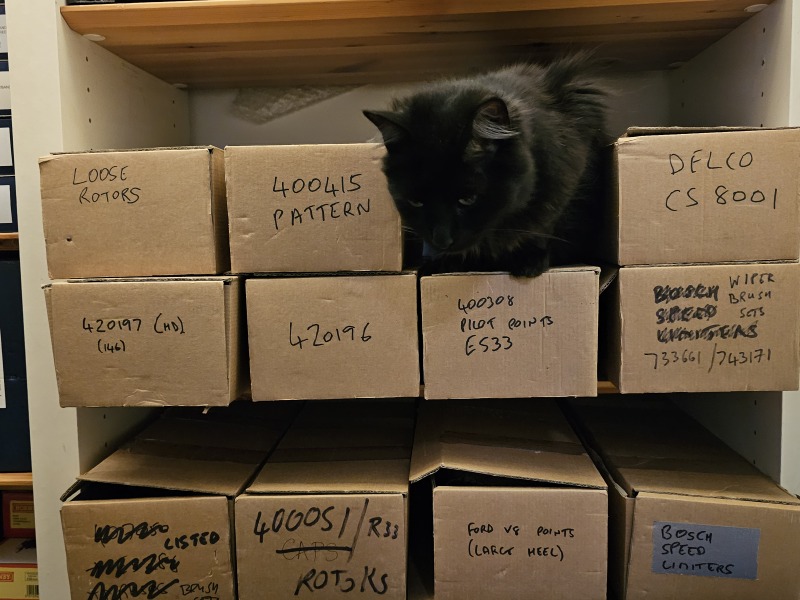 Passports, buckets and spades - the Excellent Cats go on their holidays