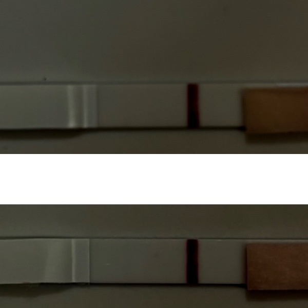 ASDA pregnancy tests