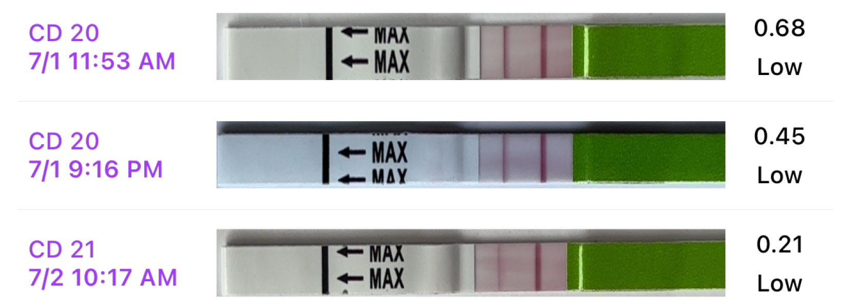 TTC July 2024 ✨♥️