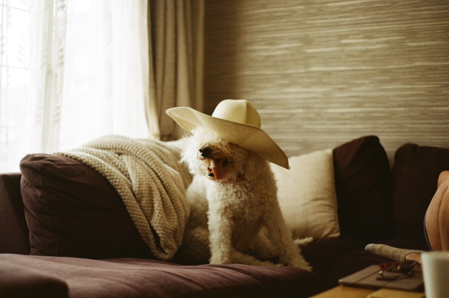 Share Your Dog Stories and Photos! 🐾 Chance to Win £100!