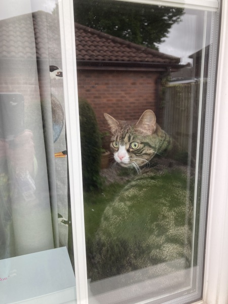 Thread 53 Sunak: Superminority!