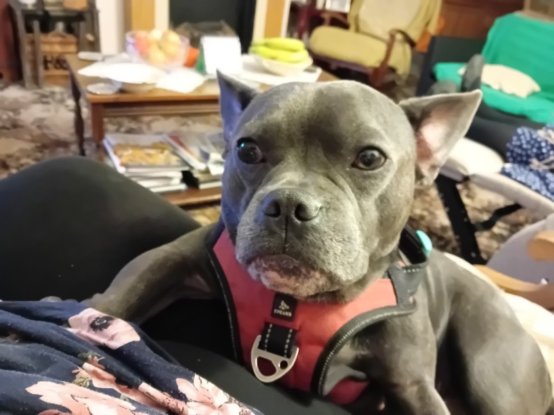 The support thread for anyone trying to lead an alcohol free life.