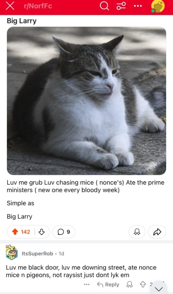 Norf FC on Reddit honouring Larry