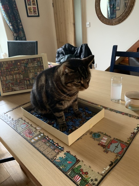 Jigsaw Puzzles