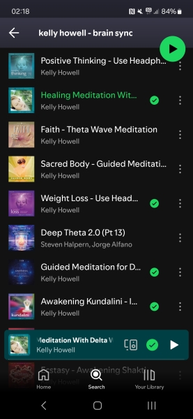 Fat Girl Summer 2 Electric Boogaloo💅☀️