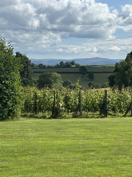 Is this just the way it is?  Camping 2024