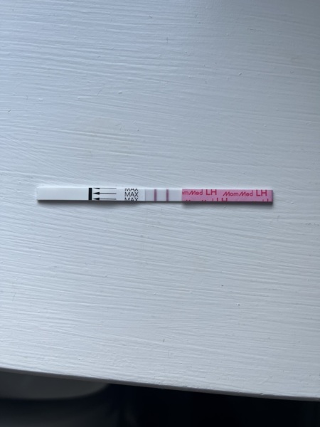 Positive OPK 1 day before period due
