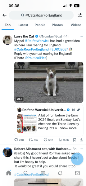 The One where TC moved to Scotland and joined the Excellent Cats